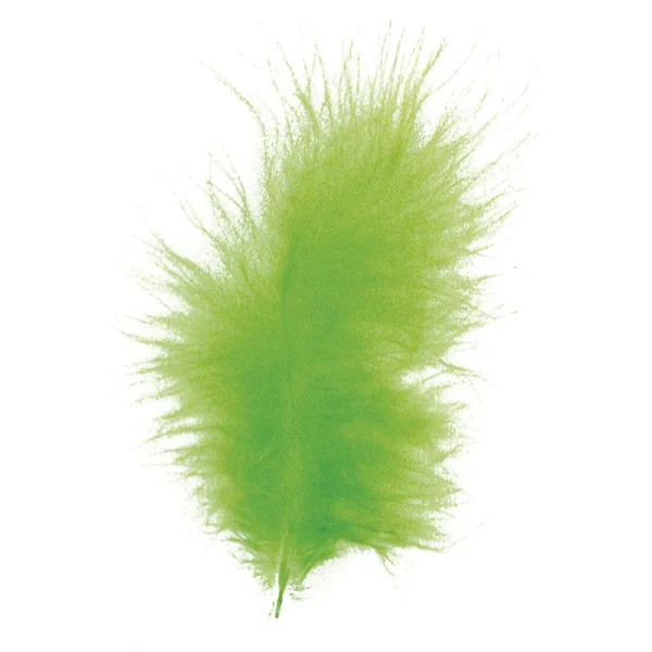 8516811_PF